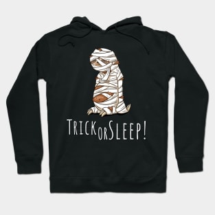 Trick Or Sleep! Relaxed Sleepy Lazy Halloween Sloth Pun Hoodie